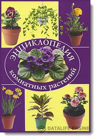 А. В. Степура. Энциклопедия комнатных растений (2009) PDF