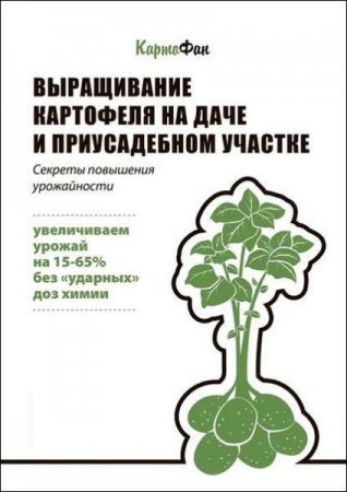 Выращивание картофеля на даче и приусадебном участке. Секреты повышения урожайности