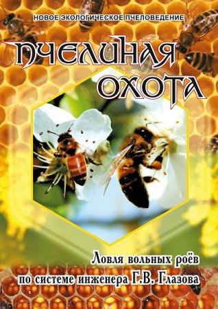 Пчелиная охота. Ловля вольных роёв по системе инженера Г.В. Глазова