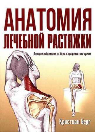 Анатомия лечебной растяжки. Быстрое избавление от боли и профилактика травм