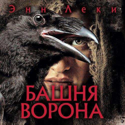 Леки Энн. Башня ворона (2022) Аудиокнига